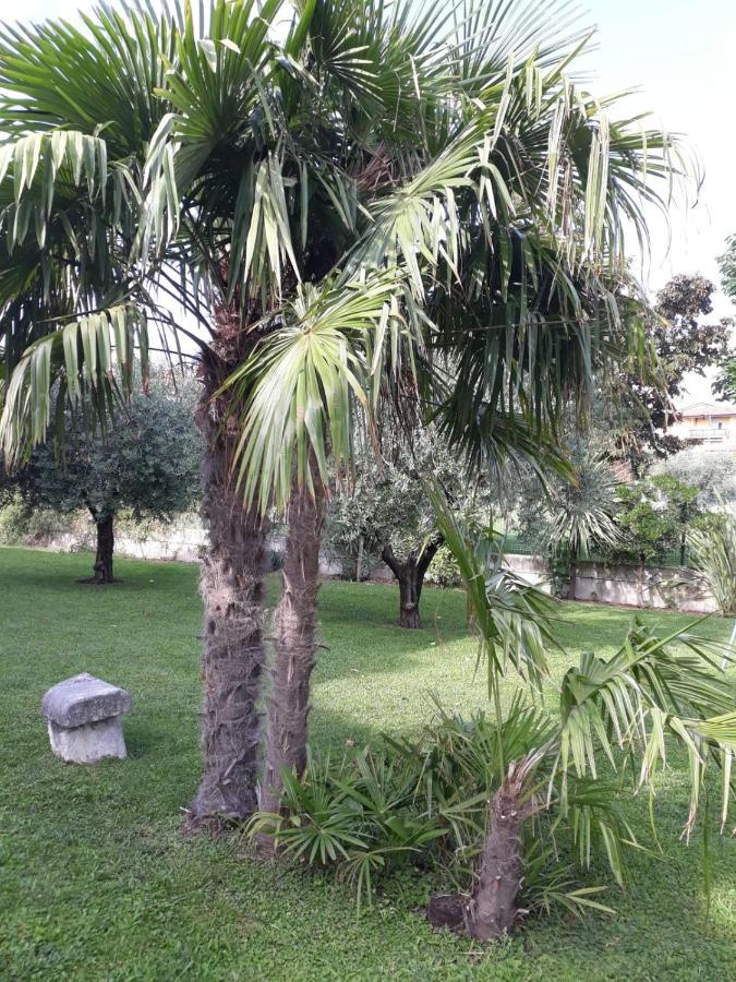 Appartamento Greta Cavaion Veronese Buitenkant foto
